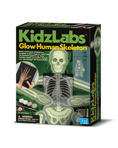 4M - Kidz Labs - Glow Human Skeleton Science Kit