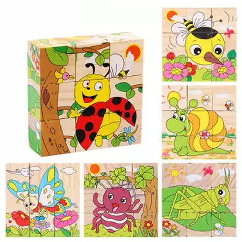 Insects– Cubical Wooden Puzzle