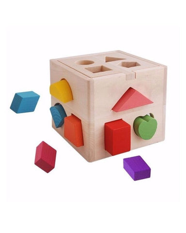 Shapes Sorting Intelligence Box