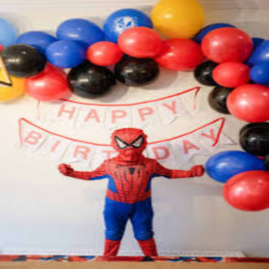 Siderman Birthday Theme